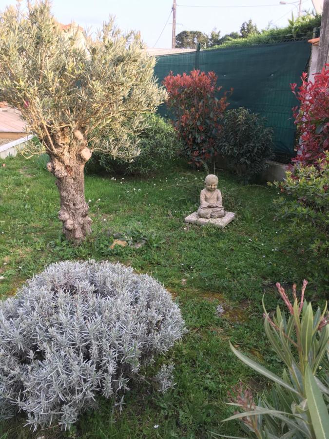 Domaine Hortensias La Sennetiere Kültér fotó